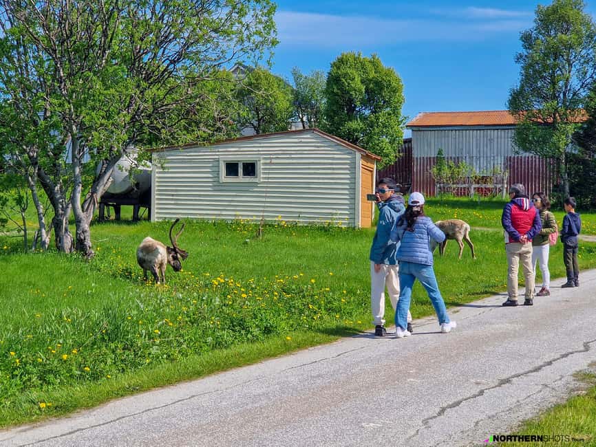 Tromsø: Sommaroy Fjord Tour with Lunch Option - Photography and the online photo collection