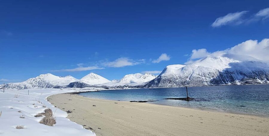 Tromsø: Sommerøya and Kvaløya Arctic Fjords Tour with Lunch - Why the road west from Tromsø is worth your time