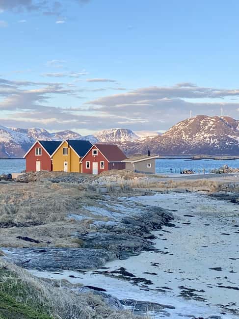 Tromsø: Sommerøya and Kvaløya Arctic Fjords Tour with Lunch - Price, timing, and who gets good value
