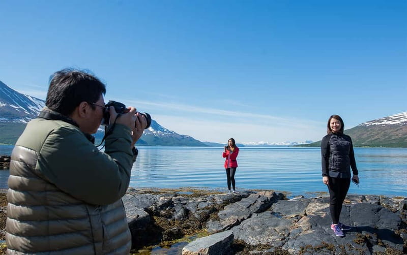 Tromsø: Summer Fjord Road Trip with Citizen Science - Why Kvaløya makes a strong half-day outing