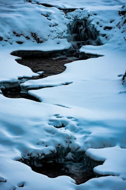 Tromso: Visit 5 Fjords in 4 hours - Should you book the five-fjord minivan trip?