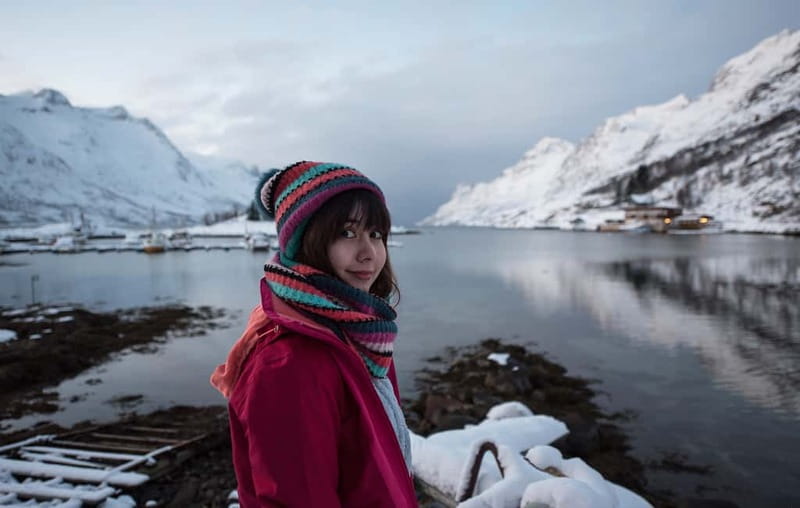 Tromsø: Winter Fjord Road Trip - Key points at a glance