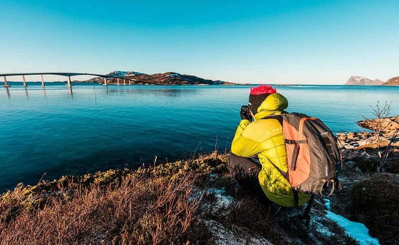 Tromsø: Winter Fjord Road Trip - Wildlife along the road