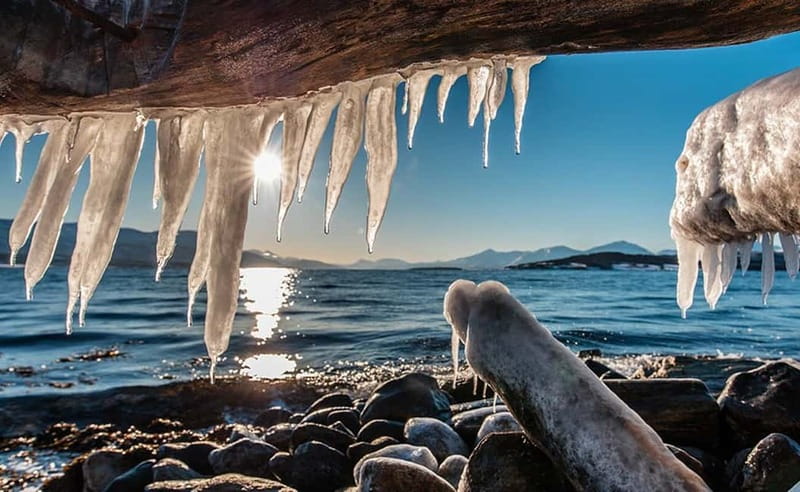 Tromsø: Winter Fjord Road Trip - Citizen science with a local purpose