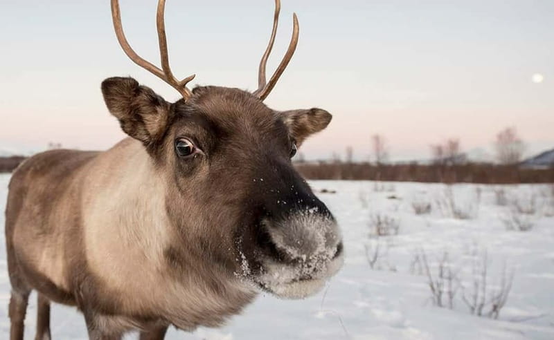 Tromsø: Winter Fjord Road Trip - Clothing, comfort, and practical limits