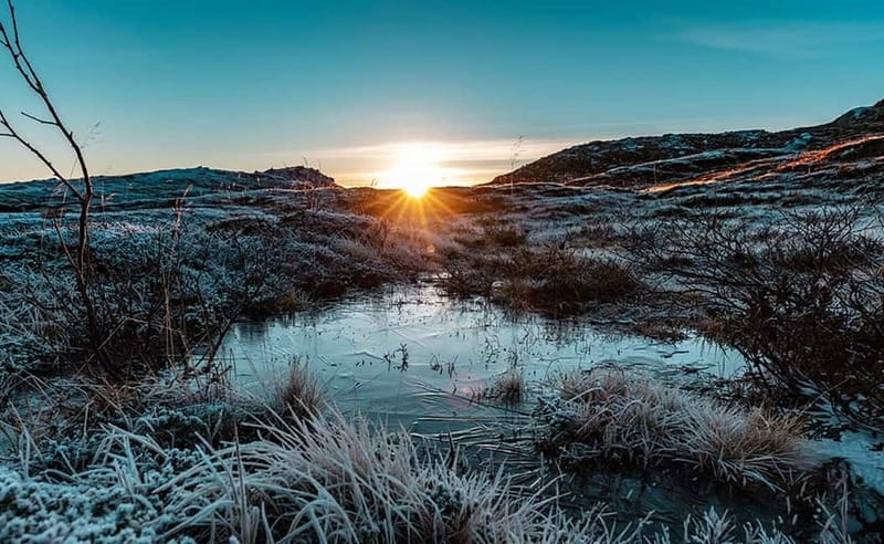 Tromsø: Winter Fjord Road Trip - Fjords, beaches, and small villages