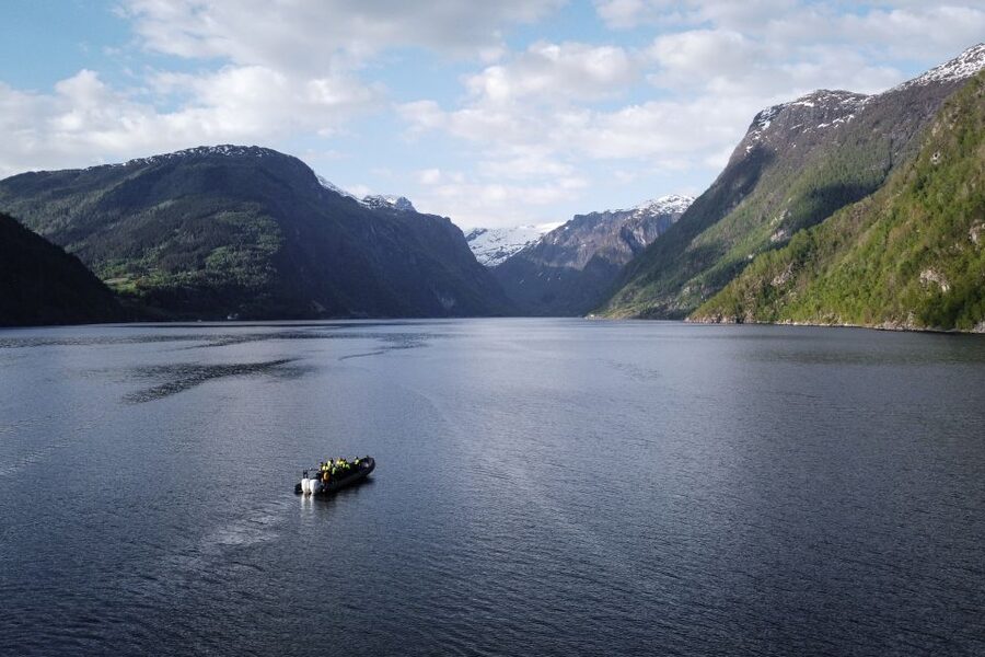 Ulvik: Hardangerfjord Ultimate RIB Tour - How the $141 price compares with the experience