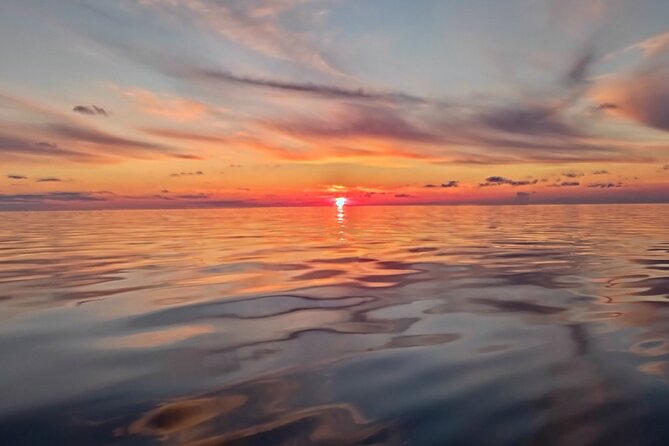 Vrsar, Lim Fjord and Rovinj Day Tour by Boat with Drinks - Dolphins are a pleasant possibility, not a promise