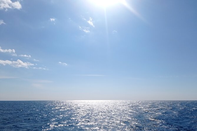 Vrsar, Lim Fjord and Rovinj Day Tour by Boat with Drinks - Who should choose this boat day?