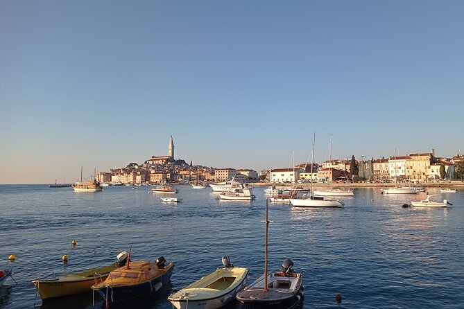 Vrsar, Lim Fjord and Rovinj Day Tour by Boat with Drinks - Should you book the Vrsar to Rovinj and Lim Channel tour?