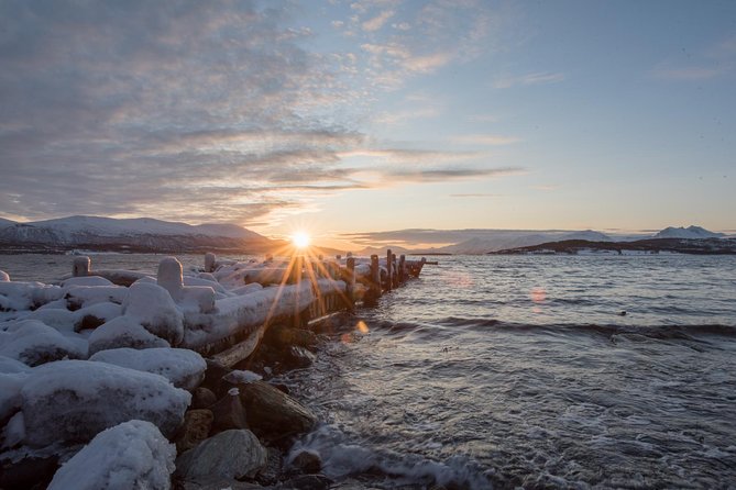 Winter Fjord Road Trip with Wandering Owl - A simple lunch beside the fjord