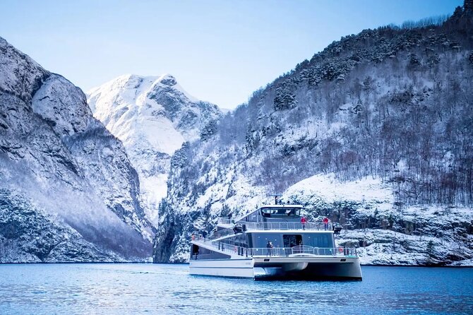 Winter Fjord Tour to Nærøyfjord, Flam and Stegastein from Bergen - Why this Bergen day trip works