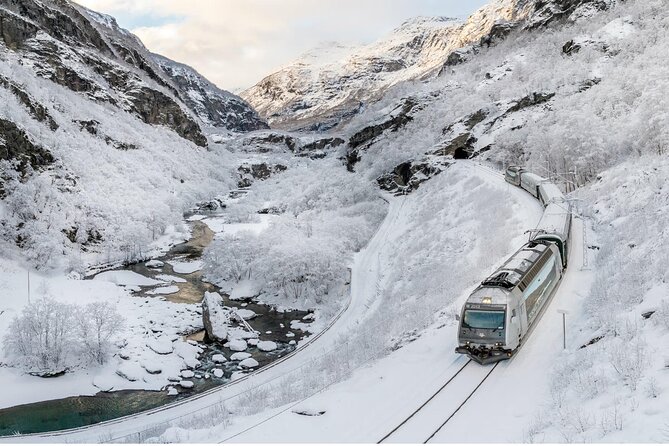 Winter Tour Viking Village, Nærøyfjord Cruise and Flåm Railway - Key points to know before booking