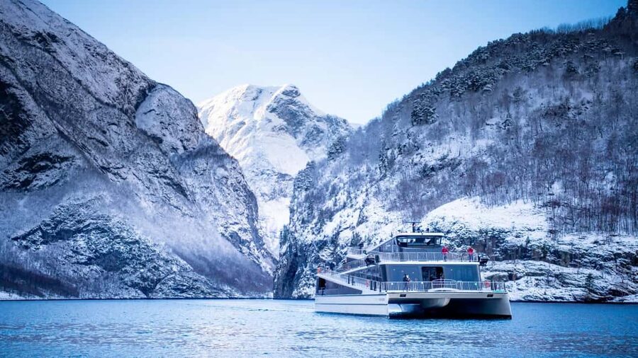 Winter Tour Viking Village, Nærøyfjord Cruise & Flåm Railway - Key points at a glance