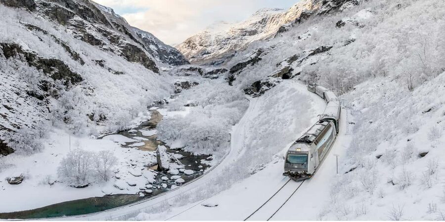 Winter Tour Viking Village, Nærøyfjord Cruise & Flåm Railway - Dale: a practical first pause